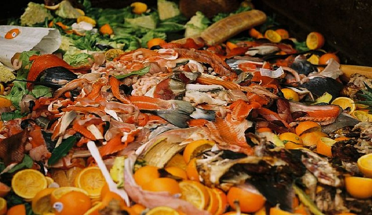 Study Shows that Food Waste is a Big Cause of Climate Change