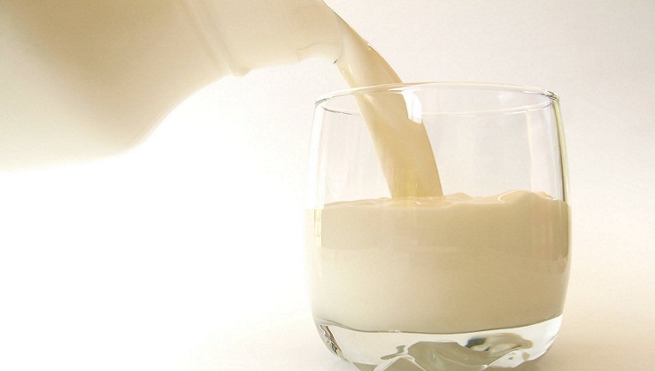 Whole Milk may have a Surprising Health Benefit