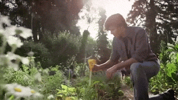 A Gardening Monitor that sends Moisture, Temperature Data Back to the Cloud