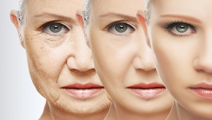 anti aging