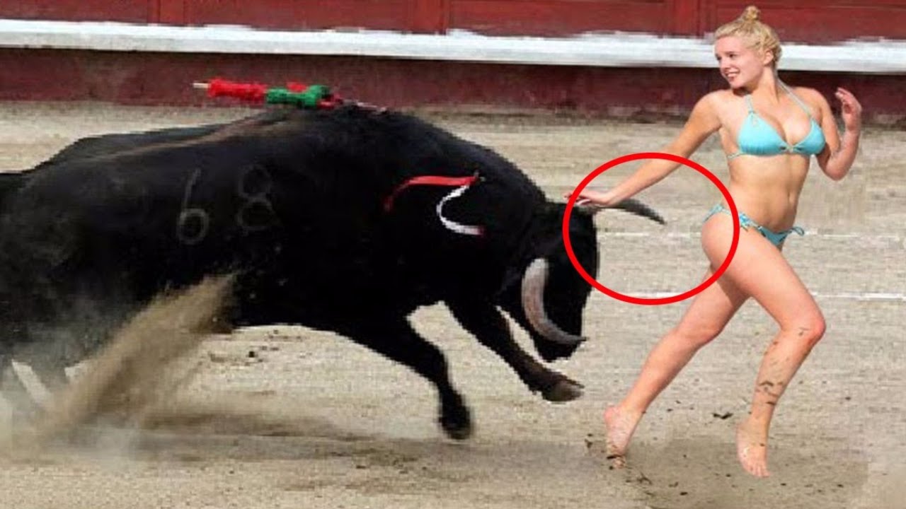 Awesome BullFighting Festival : Best Funny bits , Please try not to Laugh