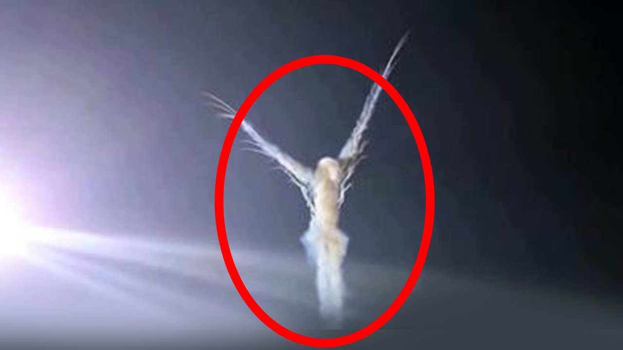 10 Unexplained Mysteries in The Sky Caught on Camera!